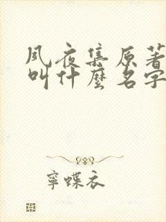 夙夜集原著小说叫什么名字