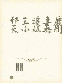 邪王追妻废材逆天小姐无删减
