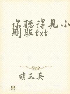 你听得见小说未删版txt