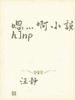 嗯…啊小说[高h]np