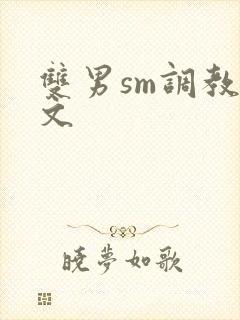 双男sm调教h文