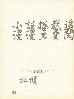 小说总裁追妻路漫漫免费阅读全文封面