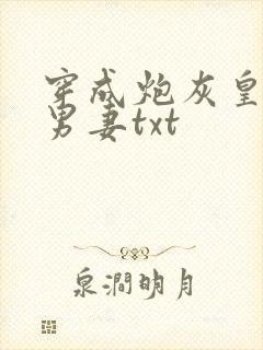 穿成炮灰皇子的男妻txt