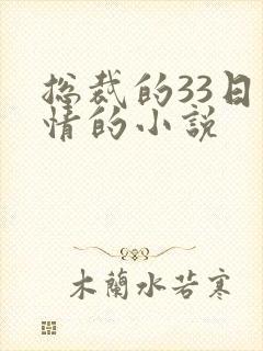总裁的33日索情的小说