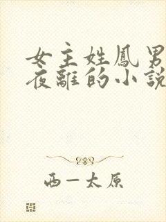 女主姓凤男主叫夜离的小说
