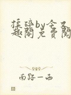 揉碎by今又笔趣阁免费阅读最新章节封面