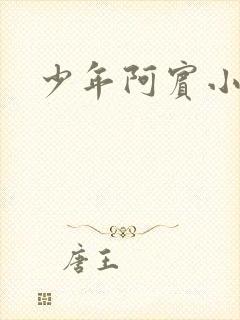 少年阿宾小说