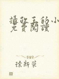 摄政王的小宠妃免费阅读