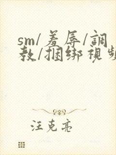 sm/羞辱/调教/捆绑视频封面