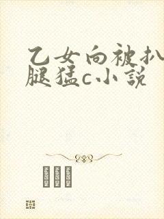乙女向被扒开双腿猛c小说