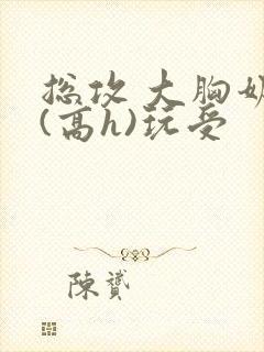 总攻 大胸奶汁(高h)玩受