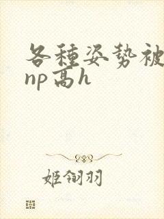 各种姿势被学长np高h
