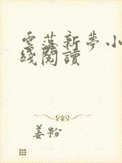 云落新梦小说在线阅读
