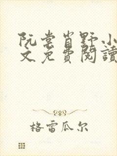 阮棠肖野小说全文免费阅读