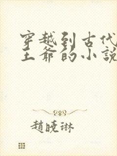 穿越到古代嫁给王爷的小说