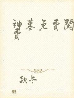 神墓免费阅读免费