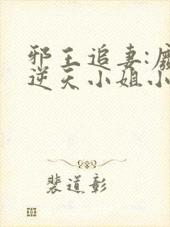 邪王追妻:废材逆天小姐小说