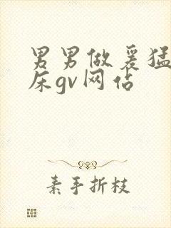 男男做爰猛烈叫床gv网站
