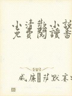 小清欢小说全文免费阅读番外