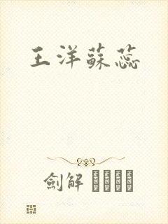 王洋苏蕊封面