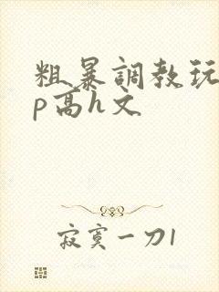 粗暴调教玩弄np高h文