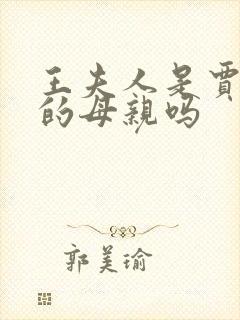 王夫人是贾宝玉的母亲吗封面