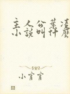 主人公叶凌天的小说叫什么名字