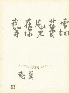 我在风花雪月里等你免费txt下载