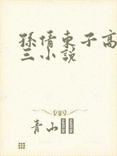 孙倩东子高义陈三小说