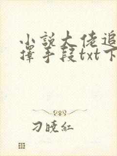 小说大佬追妻不择手段txt下载