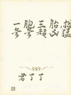 一胞三胎,总裁爹爹超凶猛
