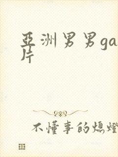 亚洲男男gay片