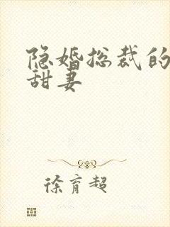 隐婚总裁的绯闻甜妻封面