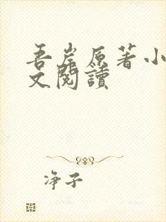 吾岸原著小说全文阅读