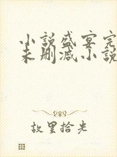 小说盛宴完整版未删减小说封面