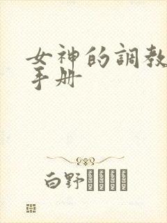 女神的调教攻略手册封面