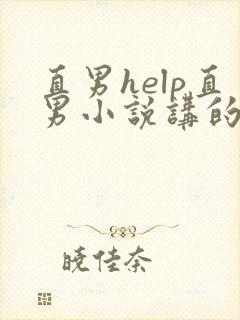 直男help直男小说讲的什么