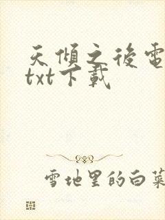天倾之后电子书txt下载