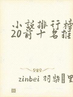 小说排行榜2020前十名推荐封面