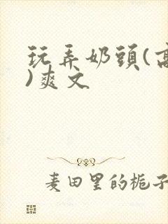 玩弄奶头(高h)爽文