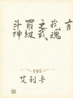 斗罗之我有十大神级武魂