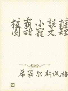 校霸小说推荐校园甜宠文短篇封面