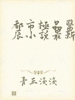 都市极品医神叶辰小说最新章节封面