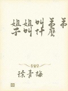 姐姐叫弟弟的儿子叫什么