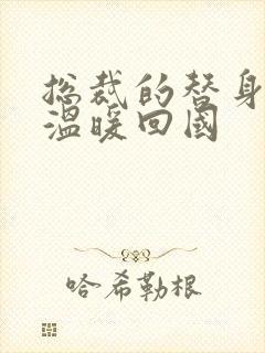 总裁的替身前妻温暖回国