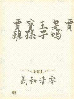 贾宝玉是贾母的亲孙子吗