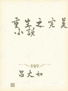 重生之完美时代 小说