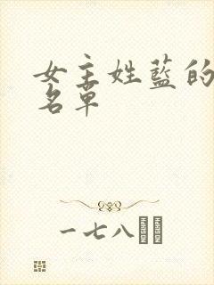 女主姓蓝的小说名单封面