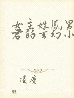 女主姓凤男主姓君的玄幻小说