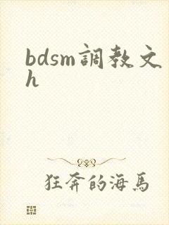 bdsm调教文h封面